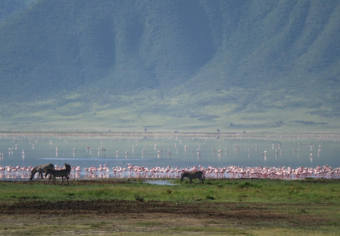 Ngorongoro crater view(2)