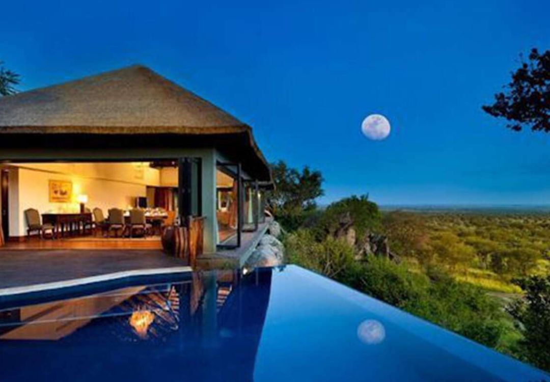 Luxury Safari Experience in Tanzania