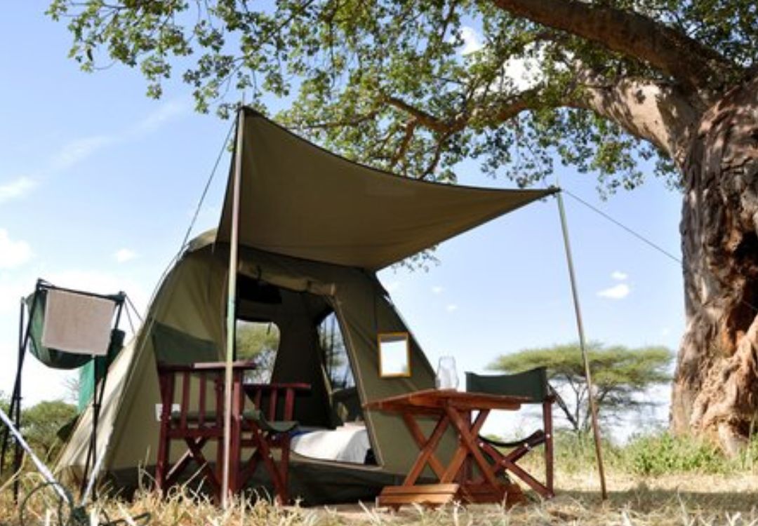 Budget Camping Safari in Tanzania