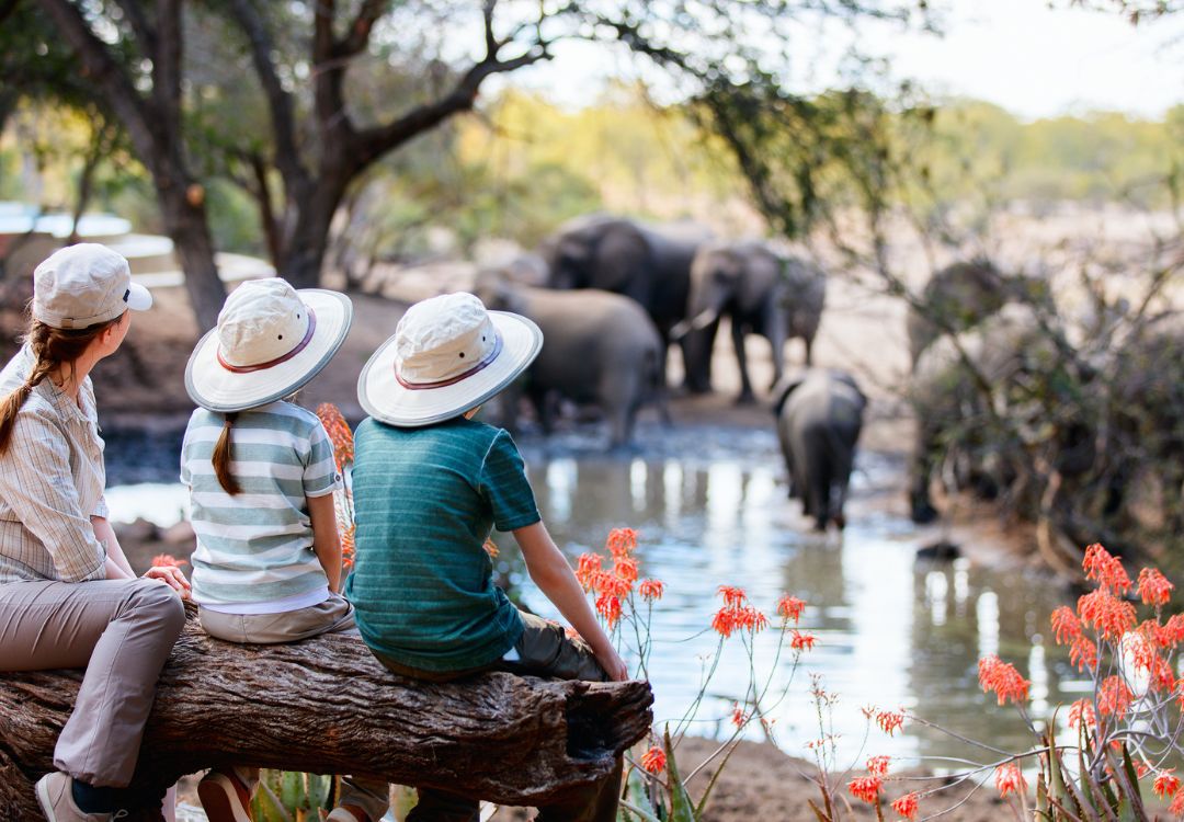 Family Safari Adventure in Tanzania
