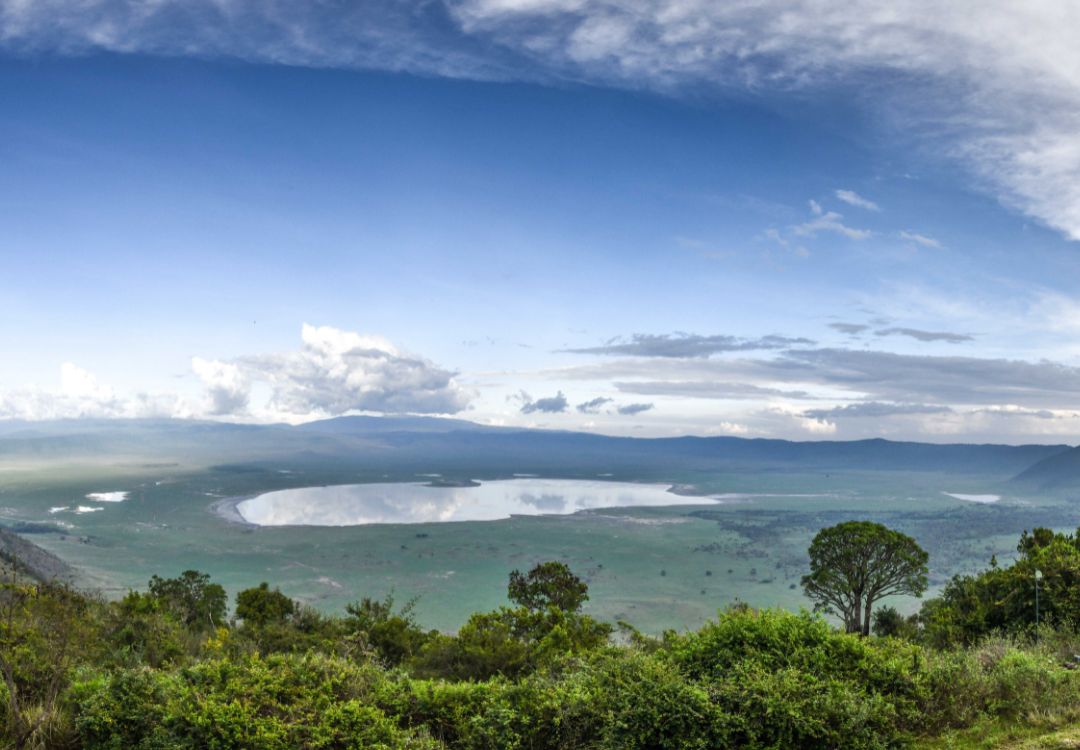 Tarangire national park(7)