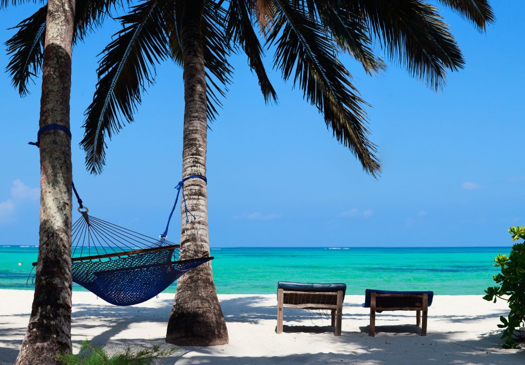 Zanzibar beach view(4)