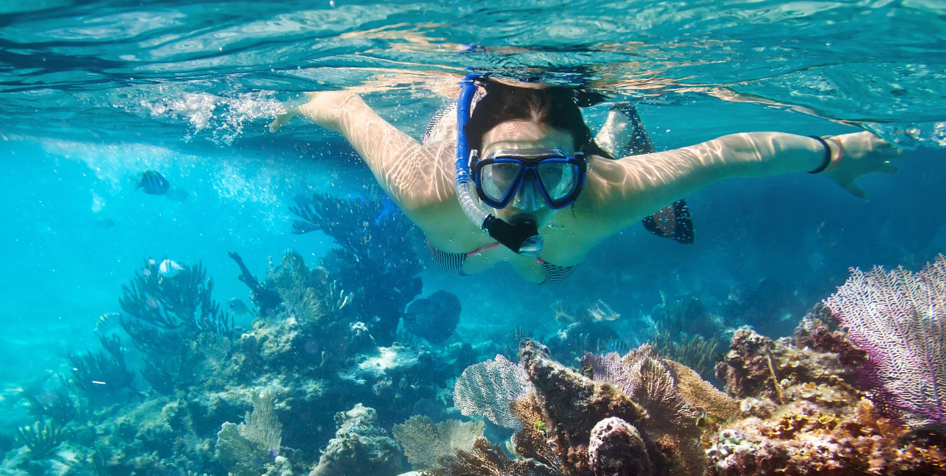 Zanzibar Snorkeling and Island Escape