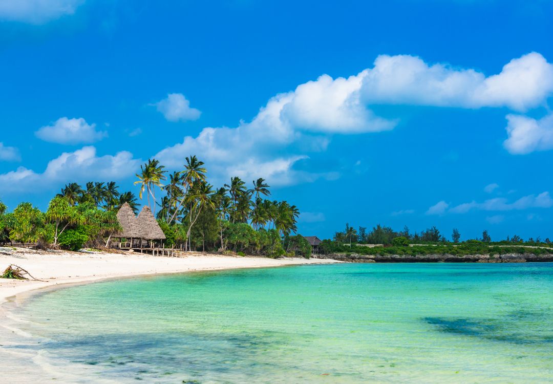 Zanzibar snorkeling(7)