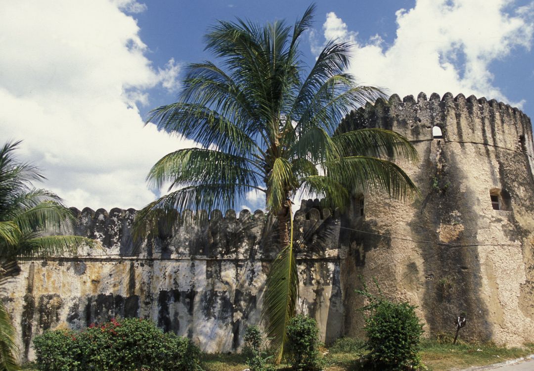 Zanzibar stone town(8)