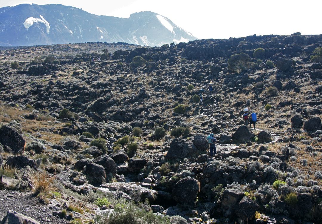 climb Kilimanjaro climb
