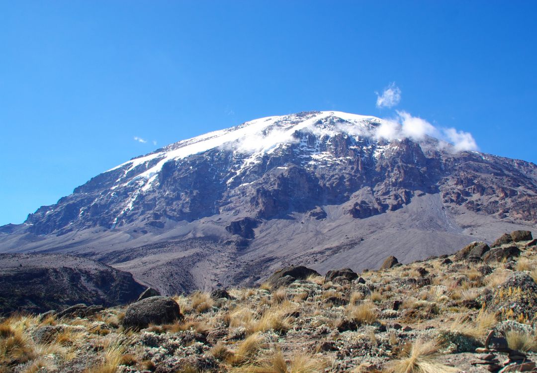 climb Kilimanjaro climb(1)