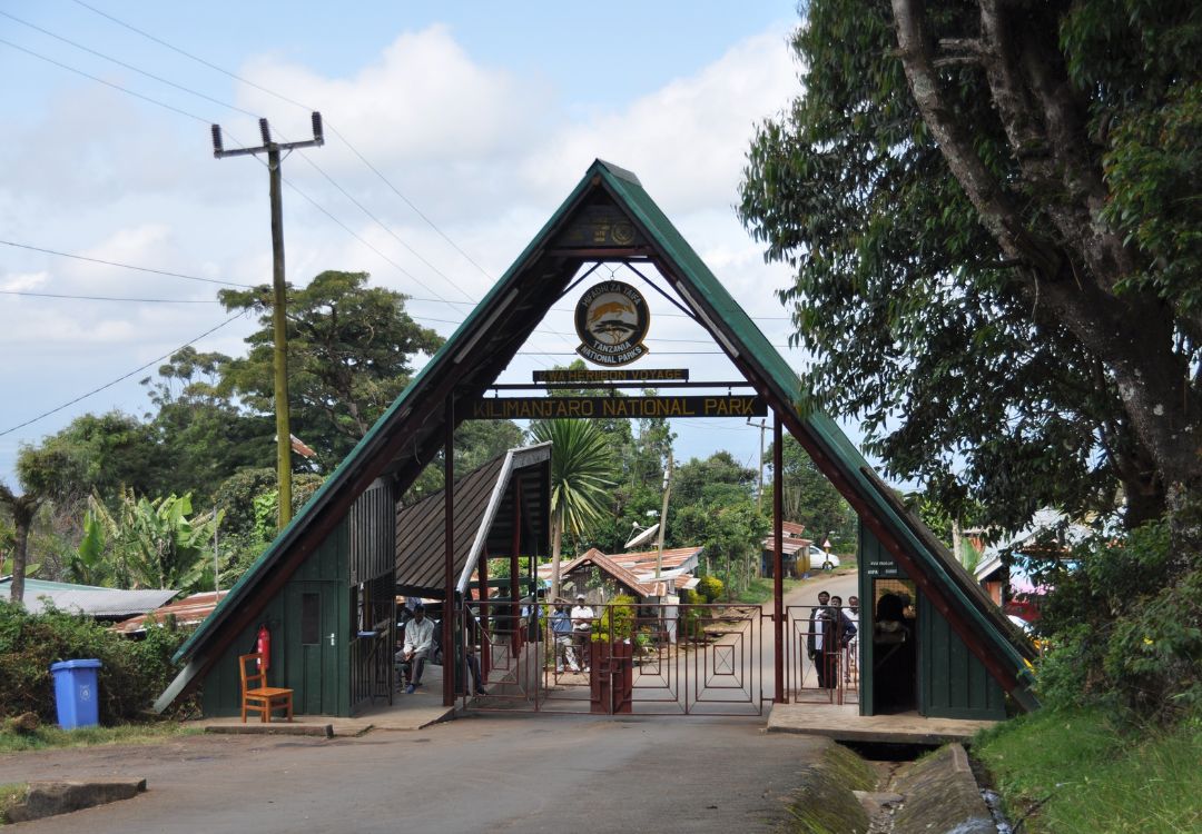 climb Kilimanjaro machame route(2)