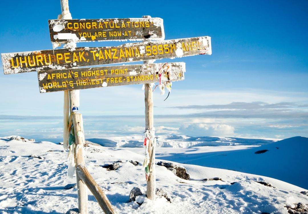 climb Kilimanjaro machame route(3)