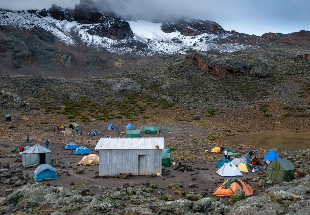 climb Kilimanjaro rongai route